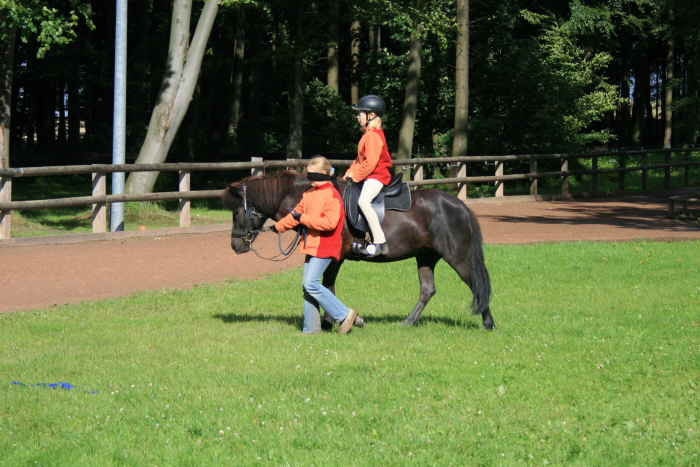 HEST-166
